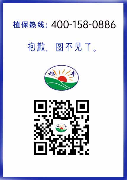 菜之道