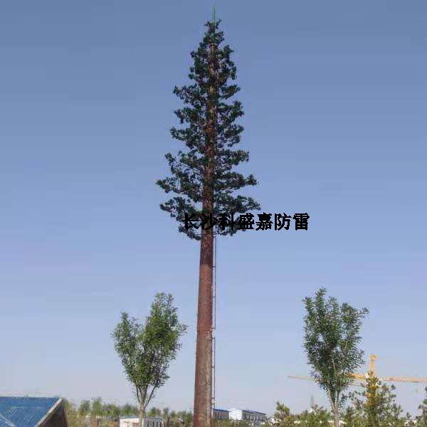 這是什么？看到圖先猜猜再進來，猜對了的都是公雞中的戰(zhàn)斗機